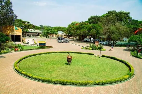 The entrance circle of the Lusaka Oaktree School campus, with a lawn, hedges and trees